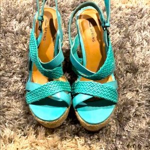 Teal wedges